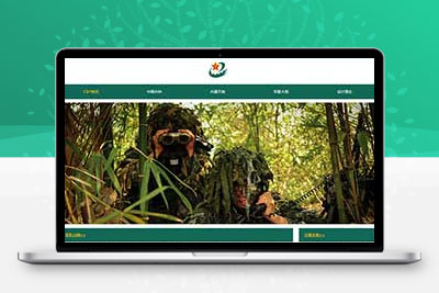 愛國網頁設計模板 軍迷網頁作業制作